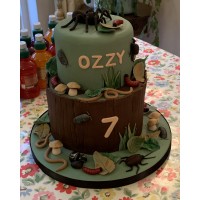 Amazing Cakes for Special Occasions