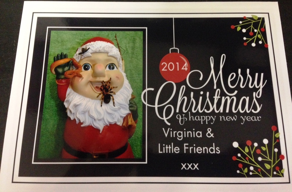 My Christmas Card 2014